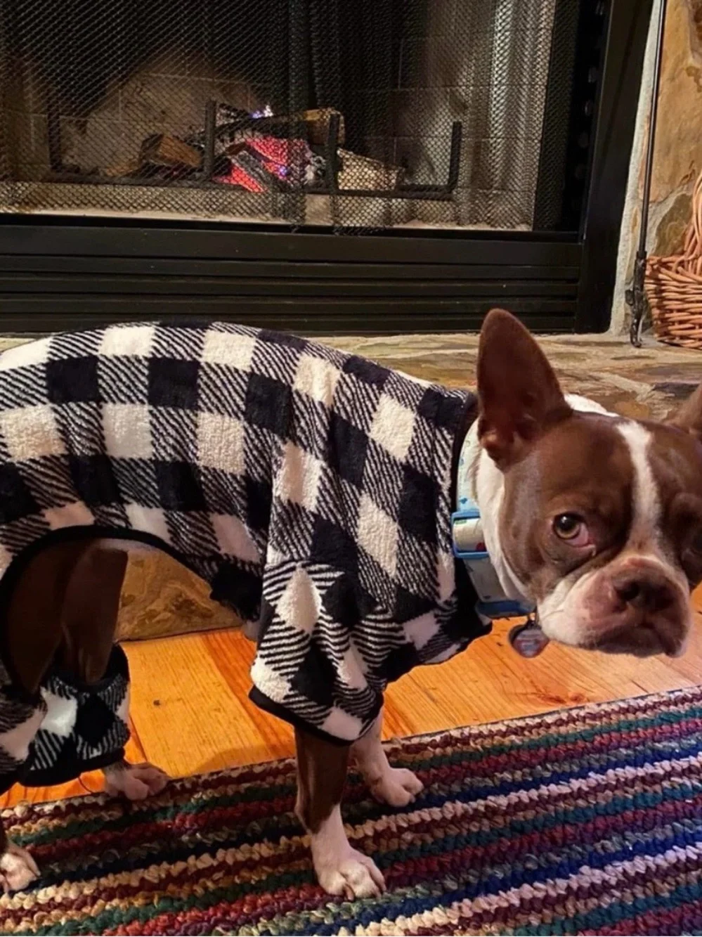 Doggie Pjs and Raincoat (2 pieces)